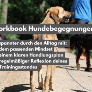 Workbook Hundebegegnungen